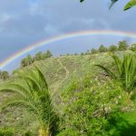 Regenbogen Finca